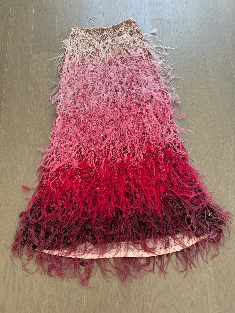 Alice + Olivia ASHTON Feathered Embellished Skirt Ascendent Ombre Deep Pink Sz 2 - Picture 3 of 9